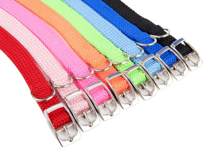 Adjustable Puppy Collar - Dog.com