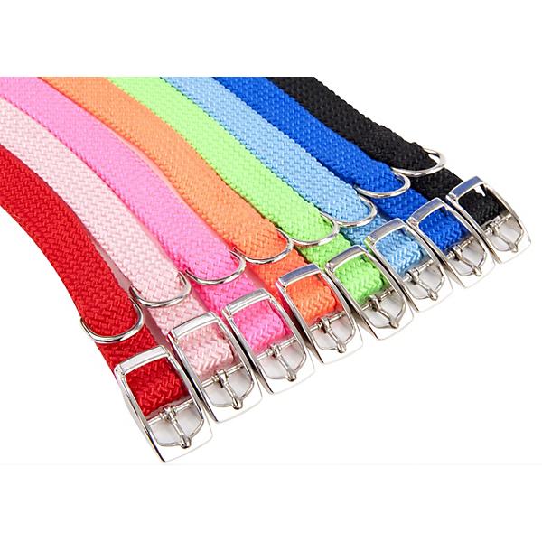 Dog Collars, Leashes and Harnesses