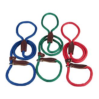 Slip Lead for Dogs