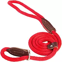 Image of Slip Lead for Dogs 6 Foot Red/White/Blue