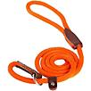 Slip Lead for Dogs