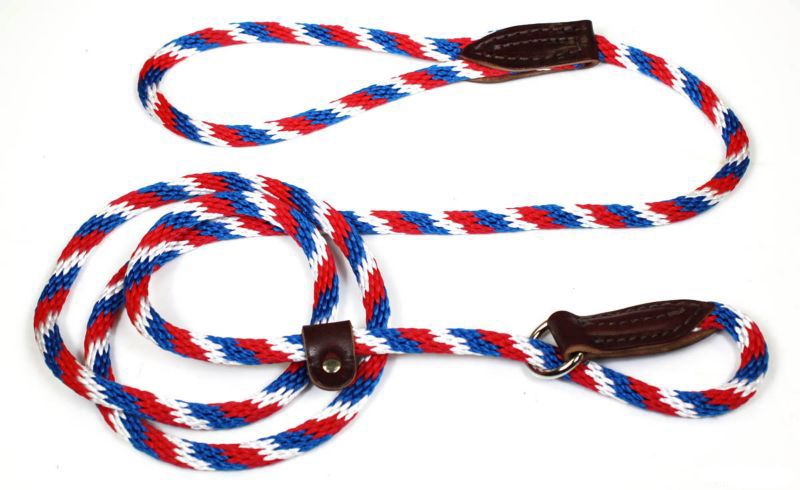 Slip Lead for Dogs