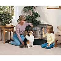 Image of MidWest Life-Stages Folding Dog Crate 30 x 21 x 24