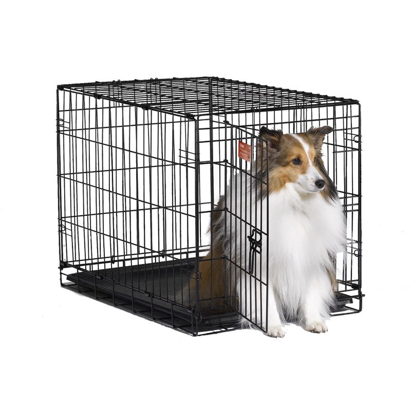 Photos - Pet Carrier / Crate no brand MIDWEST METAL PRODUCTS MidWest iCrate Dog Crate 30in x 19in x 21in 1530 