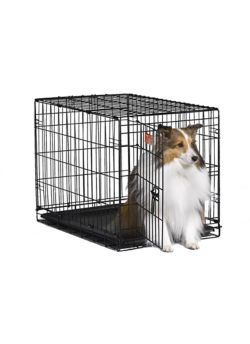 Midwest icrate 2024 dog crate