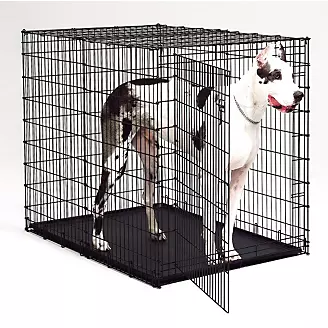 MidWest XXLarge Dog Crate