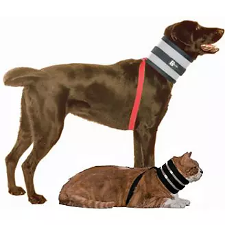 The Rubit Dog Tag Clip Small Green - StateLineTack.com