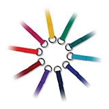Kennel Leads 20 Pk Assorted Colors 4ft x 1/2in