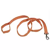 Personalized Soy Dog Lead
