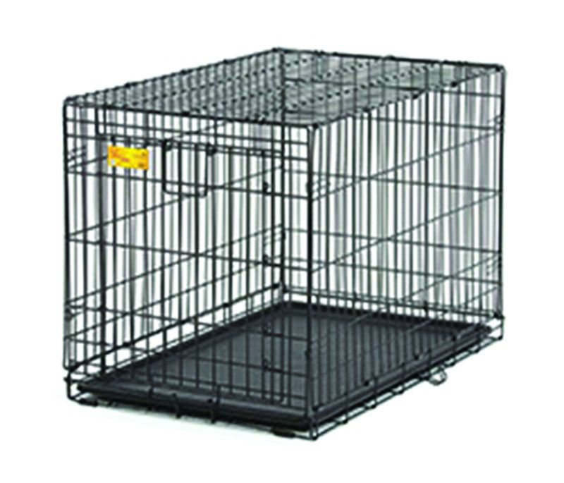 ace dog crate
