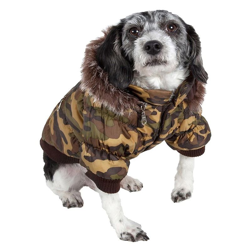 dog parka jacket