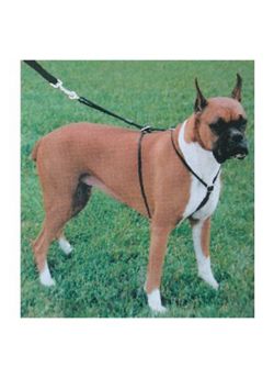 Walkright 2024 dog harness