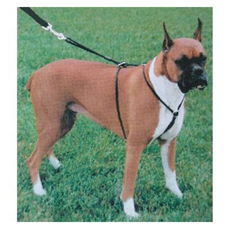 WalkRight Control Dog Harness Small