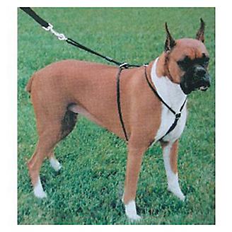 WalkRight Control Dog Harness