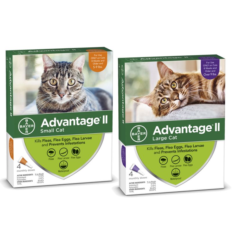 Advantage II for Cats 4-Month Supply 5-9lb