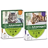 Advantage II for Cats 4-Month Supply