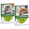 Advantage II for Cats 6-Month Supply