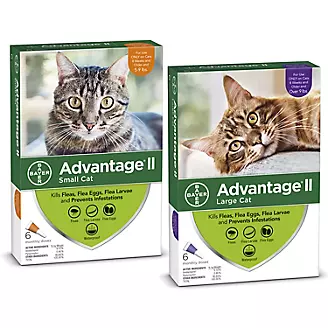 Advantage II for Cats 12-Month Supply