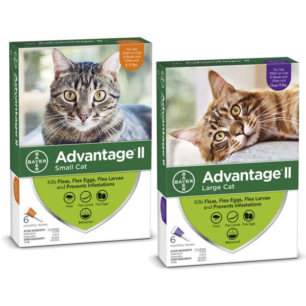 Advantage® II for Cats