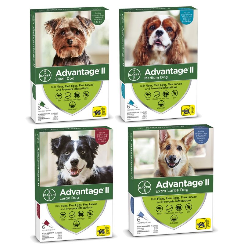 Advantage II for Dogs 6-Month Supply