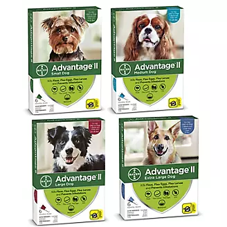 Advantage II for Dogs 12-Month Supply