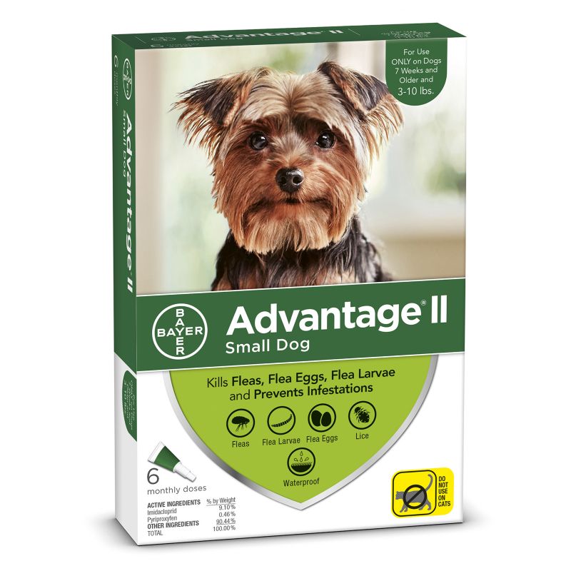advantage 250 for dogs