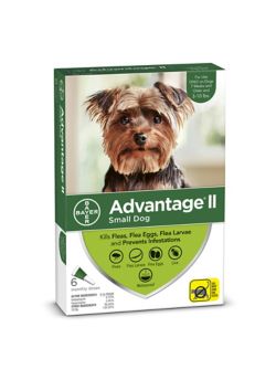 K9 advantage ii outlet for small dogs