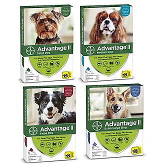 Advantage II for Dogs 6-Month Supply