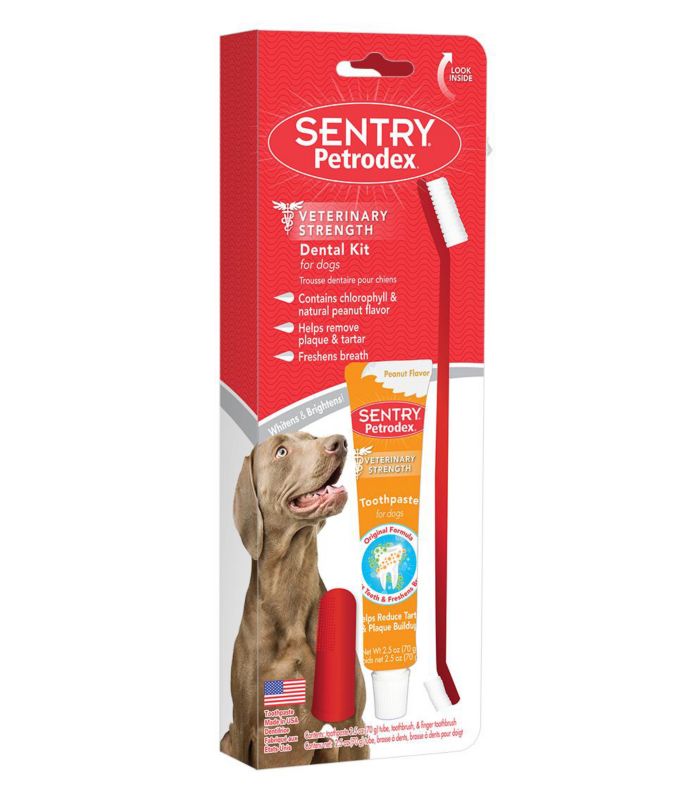 Sentry sales tick collar