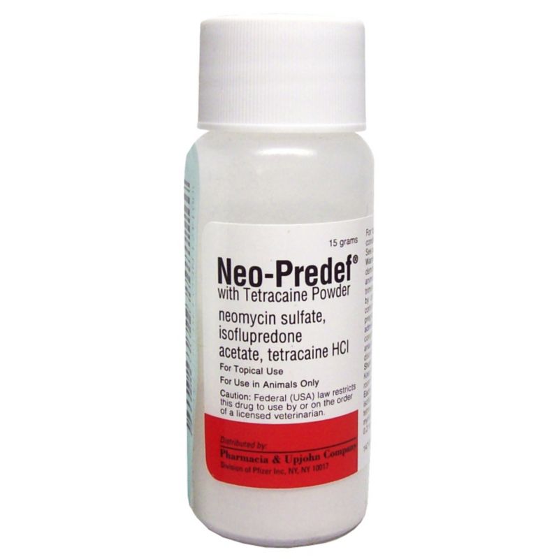 Neo-Predef with Tetracaine 15 gm