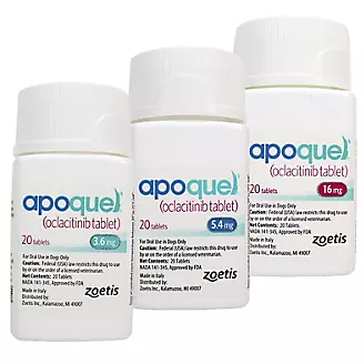Apoquel for Dogs: Uses, Side Effects, Dosage, and Precautions You Need to  Know