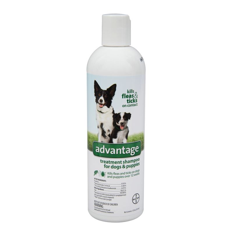 advantage flea and tick shampoo for cats