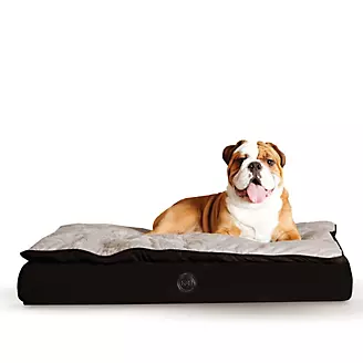 KH Mfg Feather Top Black/Gray Ortho Dog Bed