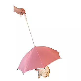 Pet Life Umbrella and Leash Holder