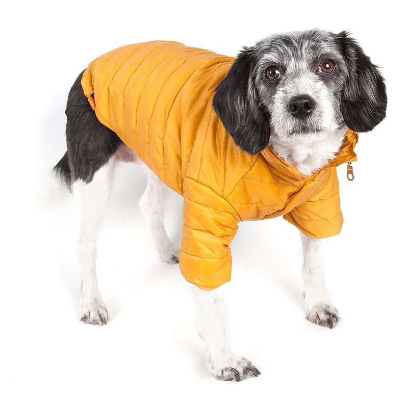 Pet Life Sporty Avalanche Pet Coat Yellow LG (PET LIFE LLC 30YLLG 858342001588 Dog Supplies Clothes) photo