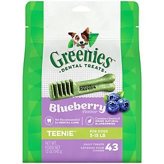 Greenies Blueberry Dog Dental Chew Teenie