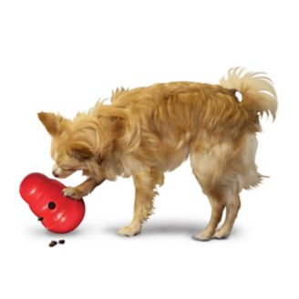 Pet Supplies : KONG Wobbler Treat Dispensing Dog Toy ( 2 Pack) 