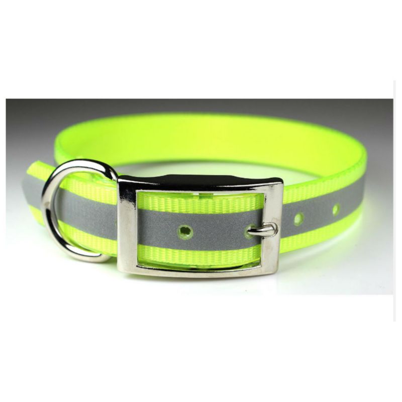 sunglo dog collars wholesale