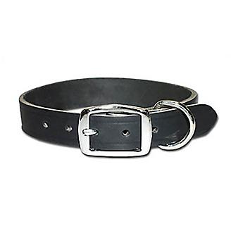Premium Latigo Leather Dog Collar