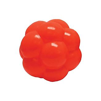 The Molecule Ball Soft Flex Dog Toy