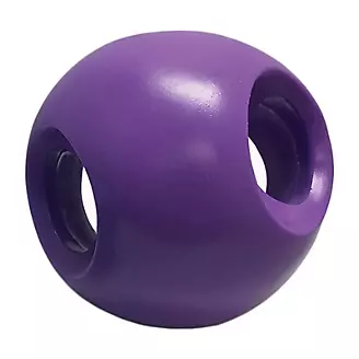 The Powerhouse Ball Soft Flex Dog Toy