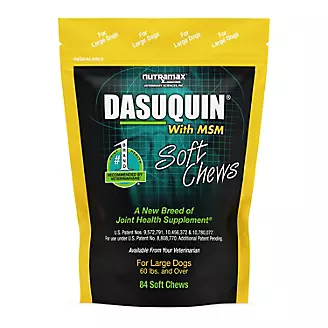 Dasuquin with MSM Soft Chews for Large Dogs