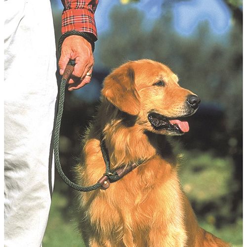 natural rope slip dog lead