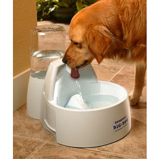 Big dog 2025 pet fountain