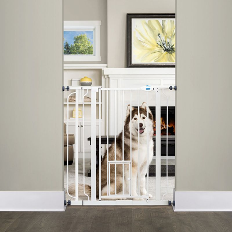 Photos - Pet Carrier / Crate no brand CARLSON PET PRODUCTS,INC. Extra Tall Walk Thru Gate w/ Pet Door 0941PW 