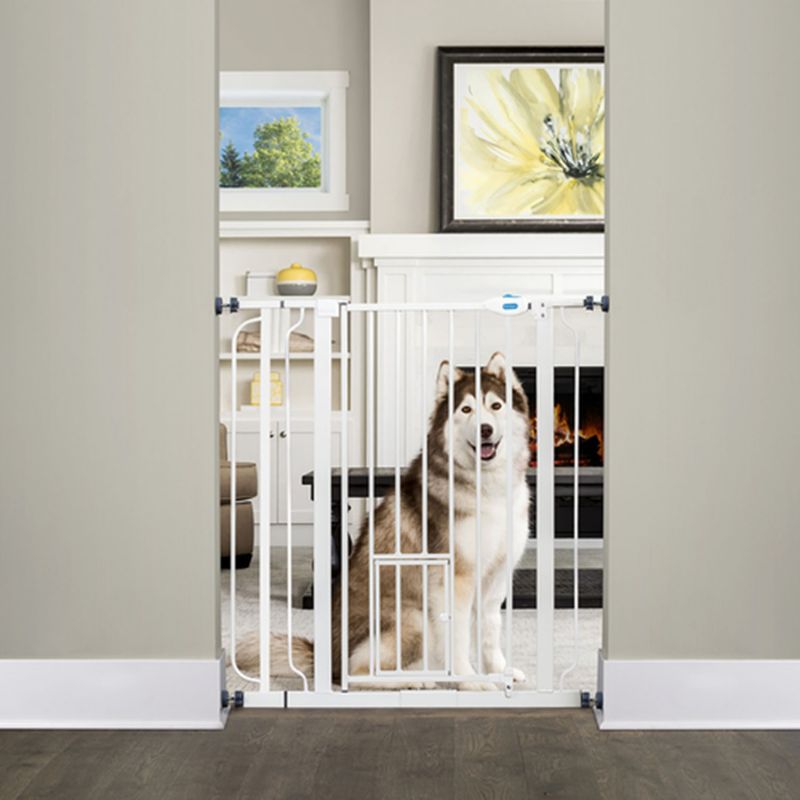 walk through gate with pet door