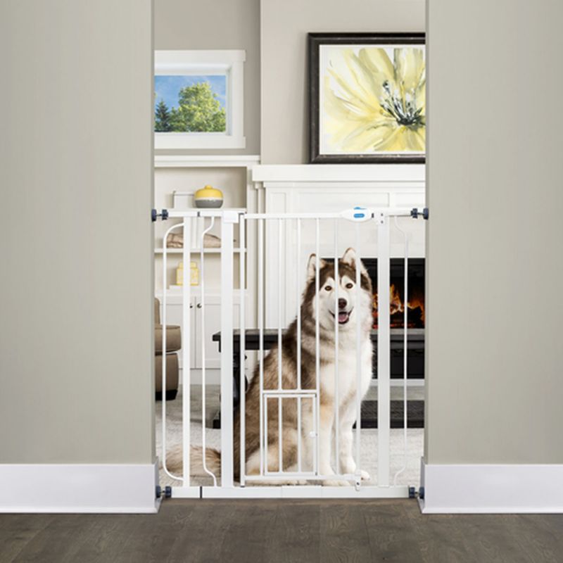 walk thru gate with pet door