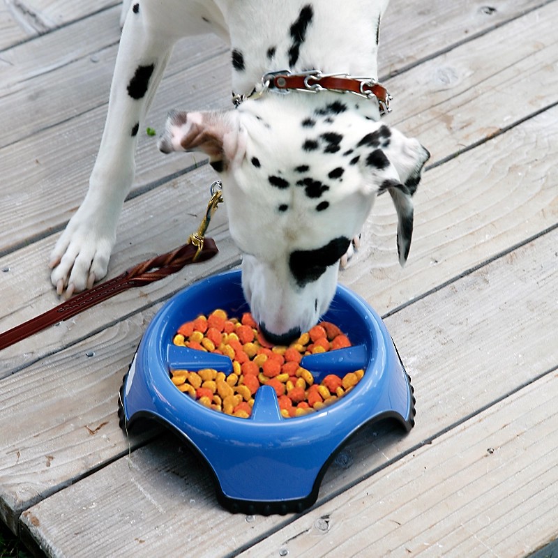 Slow Feeder Dog Food Bowl - Slow down feeding