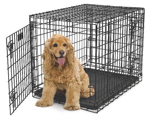 Photos - Pet Carrier / Crate no brand MIDWEST METAL PRODUCTS Ultima Pro Double Door Professional Dog Crate 31In 