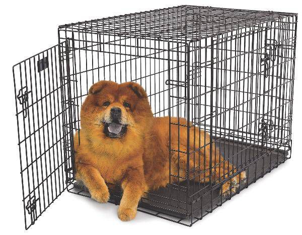 Pet Carriers & Crates no brand